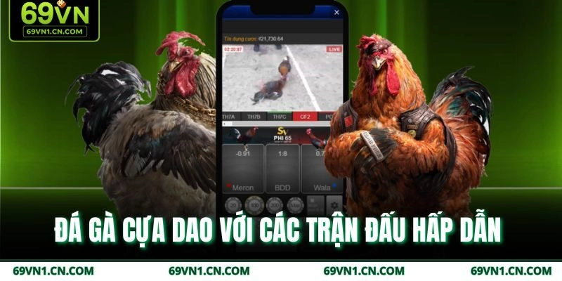 Đá gà cựa dao với các trận đấu hấp dẫn  Đá gà cựa dao với các trận đấu hấp dẫn