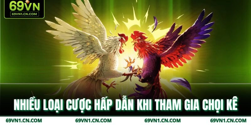 Nhiều loại cược hấp dẫn khi tham gia chọi kê  Nhiều loại cược hấp dẫn khi tham gia chọi kê